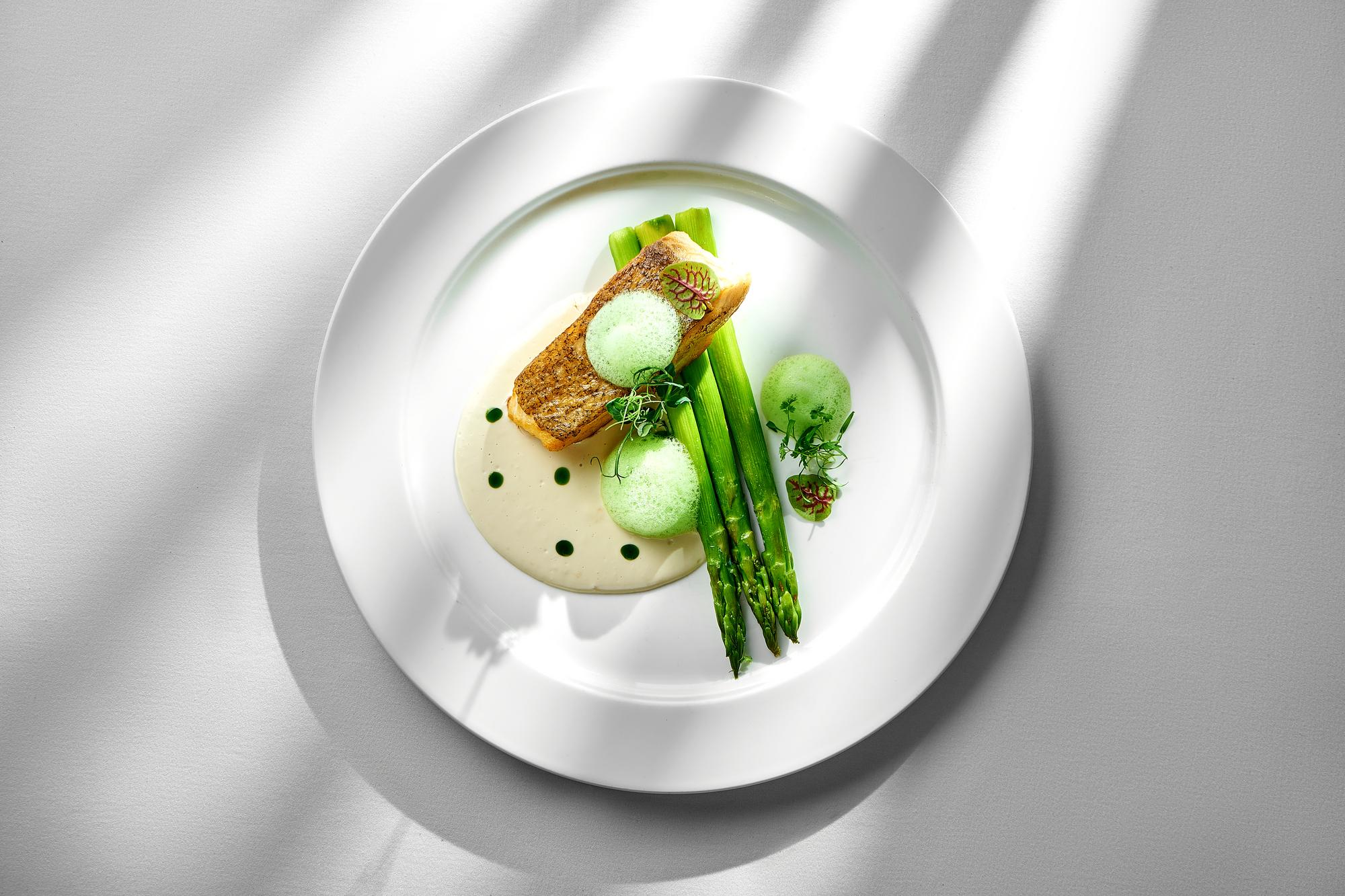 overhead view of plated modern dish with tech styling